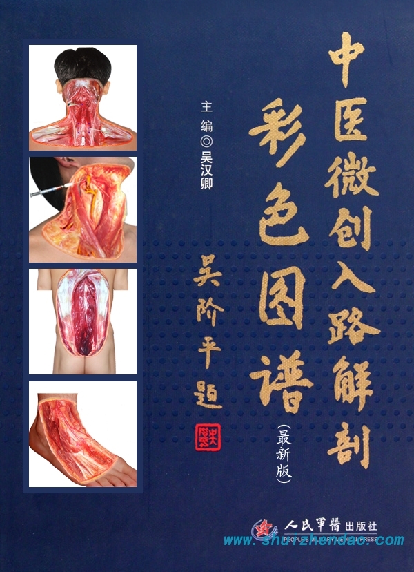 《中医微创入路解剖彩色图谱》